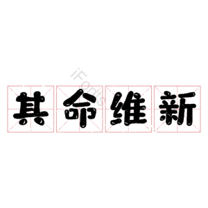 其命维新