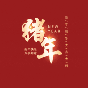 猪年