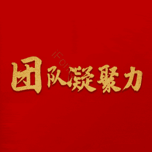 团队凝聚力