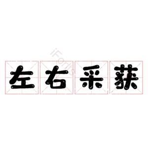 左右采获