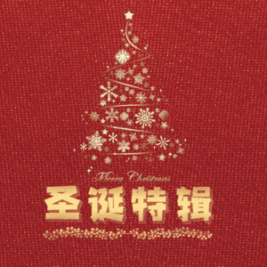 圣诞特辑