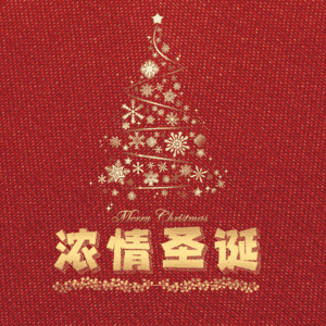 浓情圣诞