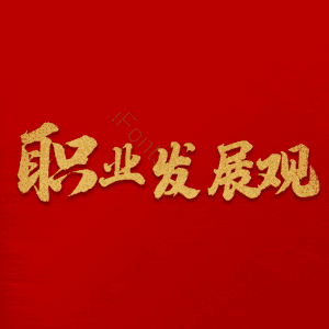 职业发展观