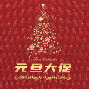 元旦大促