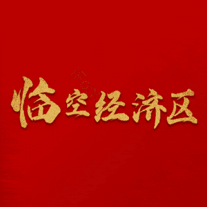 临空经济区