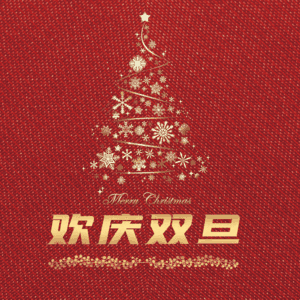 欢庆双旦