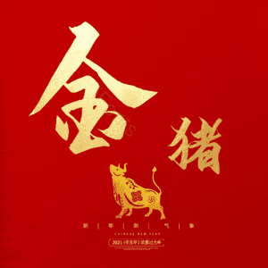金猪