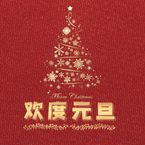 欢度元旦