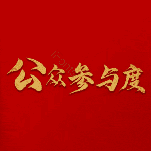 公众参与度