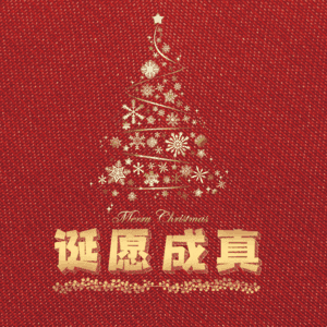 诞愿成真