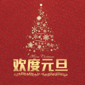 欢度元旦