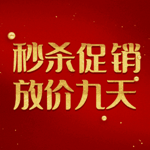 秒杀促销放价九天