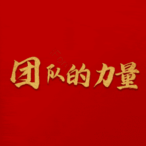 团队的力量