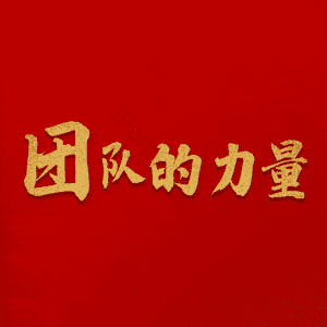 团队的力量