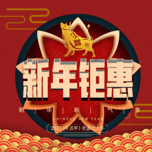 新年钜惠