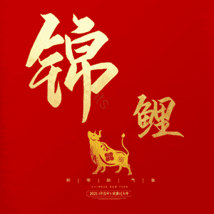 锦鲤