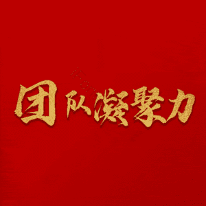 团队凝聚力