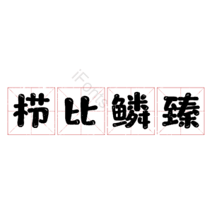 栉比鳞臻