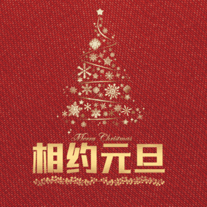 相约元旦
