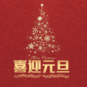 喜迎元旦