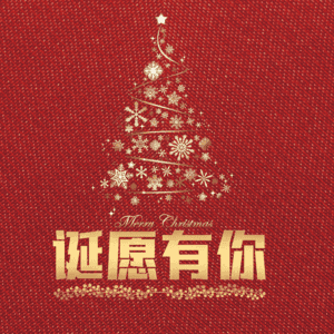 诞愿有你