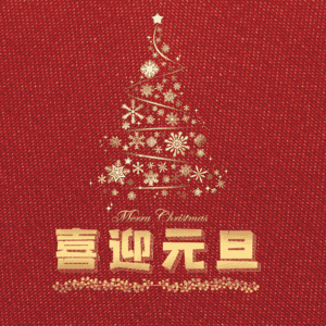 喜迎元旦