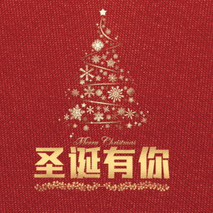 圣诞有你