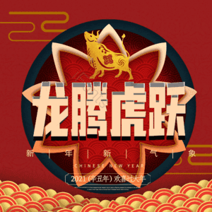 龙腾虎跃