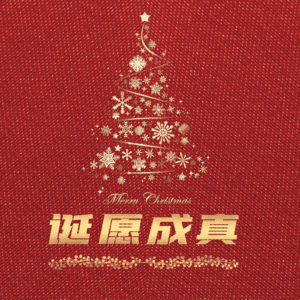 诞愿成真
