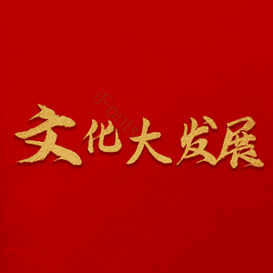 文化大发展