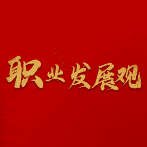 职业发展观