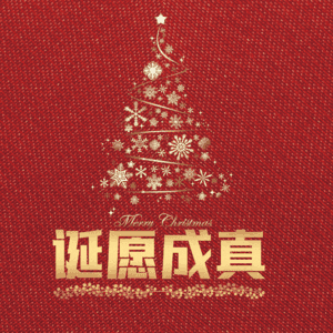 诞愿成真