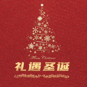 礼遇圣诞