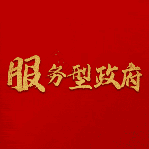 服务型政府