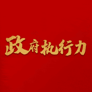 政府执行力