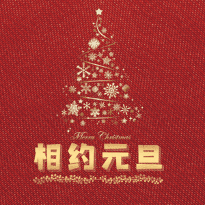 相约元旦