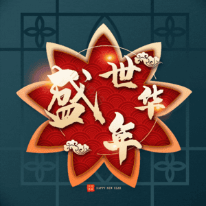 盛世华年