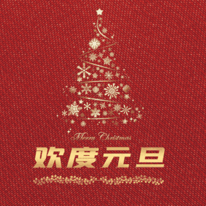 欢度元旦
