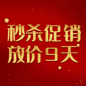 秒杀促销放价9天