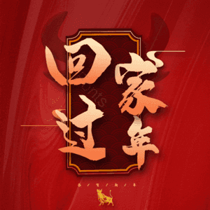 回家过年