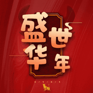 盛世华年