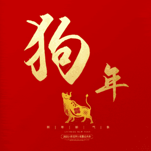 狗年