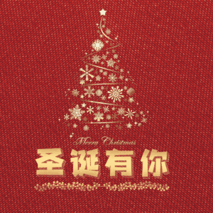 圣诞有你