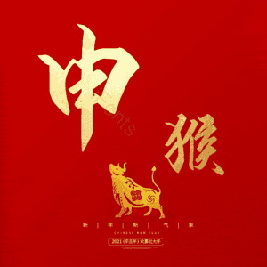 申猴