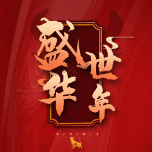 盛世华年