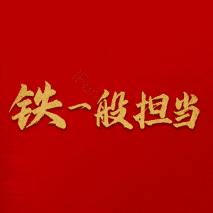 铁一般担当
