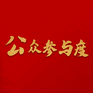 公众参与度