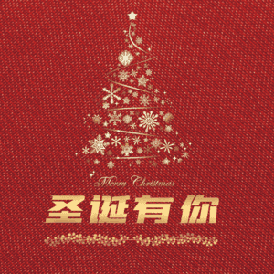 圣诞有你