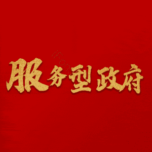服务型政府